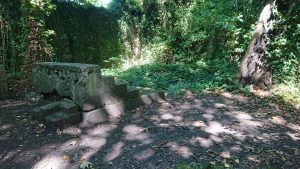 Stone steps in a dark clearing