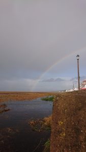 Rainbow over saltmarsh
