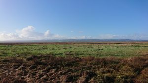 View of marshland, blue sky and clouds