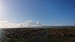 Blue sky, fluffy white clouds, marshland